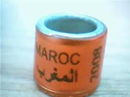 MAROC 2008 - INELE DE COLECTIE