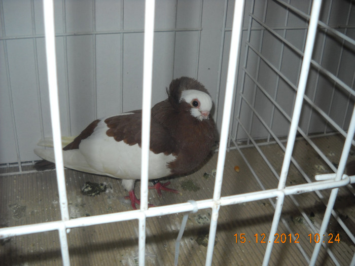 Picture 639