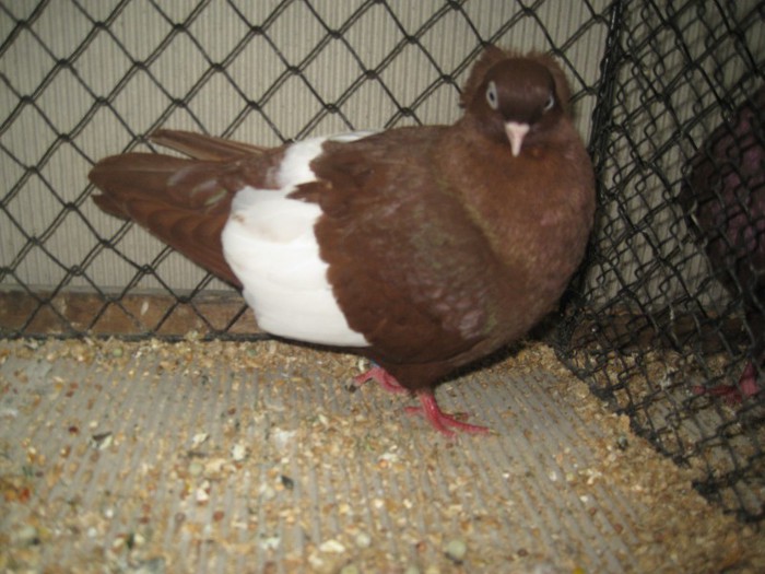 IMG_7411 - Leipzig 2012