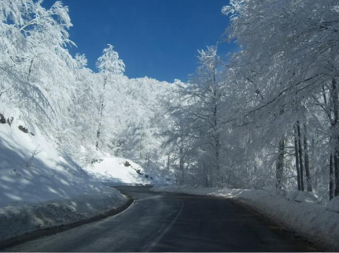 ...Baia Mare - Sighetu Marmaţiei - Iarna pe Gutin