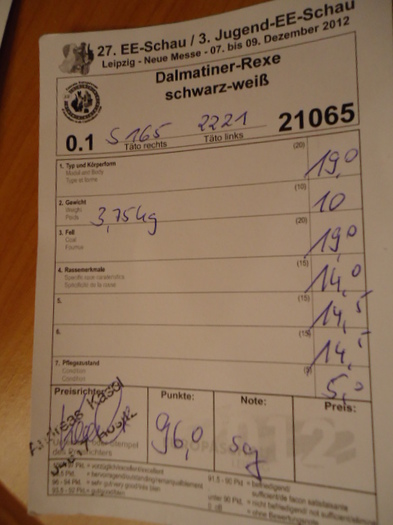 Fisa arbitraj mascul dalmatian 96 p