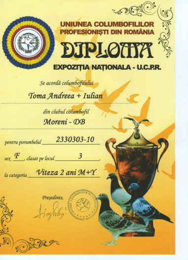 303 dip ex nat - Expo nationala ucpr