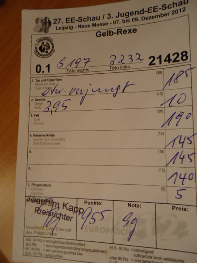 Fisa Arbitraj femela rex galben