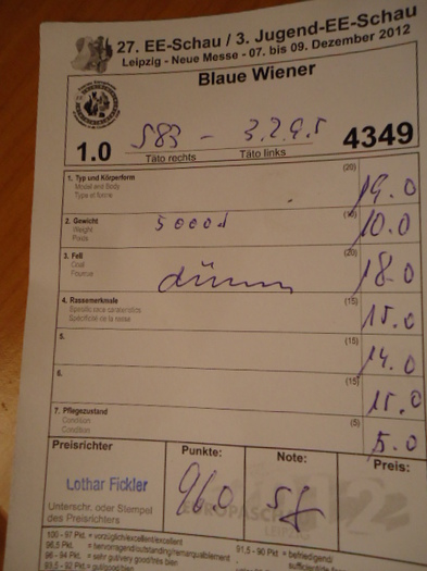 Fisa Arbitraj vienez 96 p