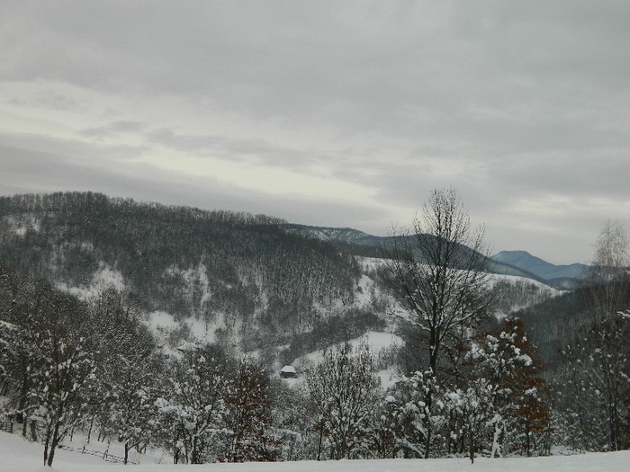 Decembrie 2012 - Diverse-Claudiu