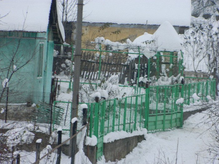 Picture 141 - Diverse-Claudiu