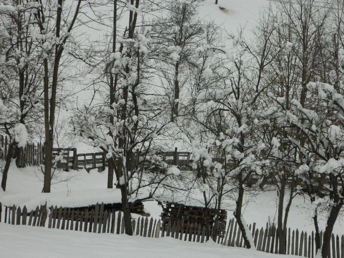 Picture 142 - Diverse-Claudiu