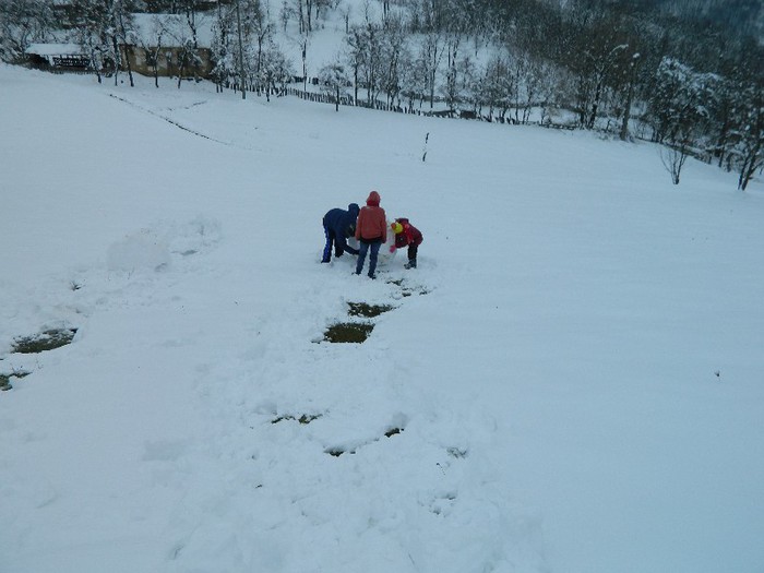 Picture 146 - Diverse-Claudiu