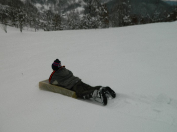 Picture 147 - Diverse-Claudiu