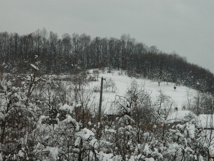 Picture 148 - Diverse-Claudiu