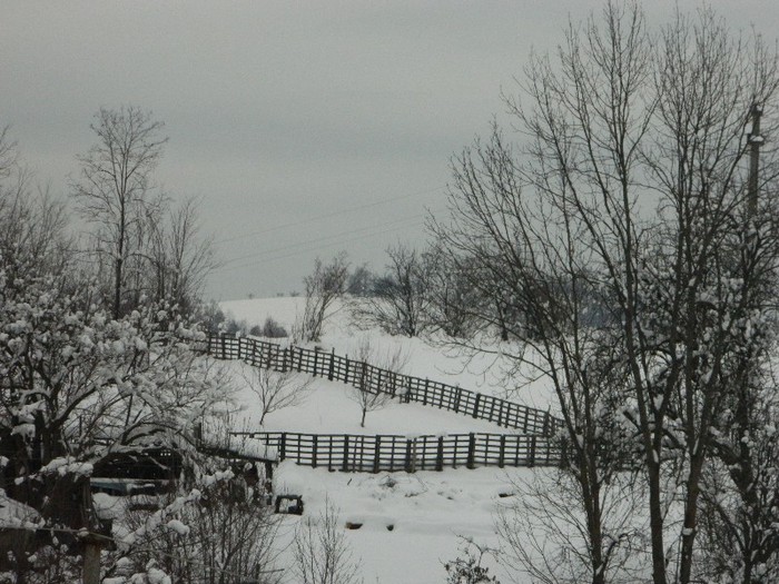 Picture 149 - Diverse-Claudiu