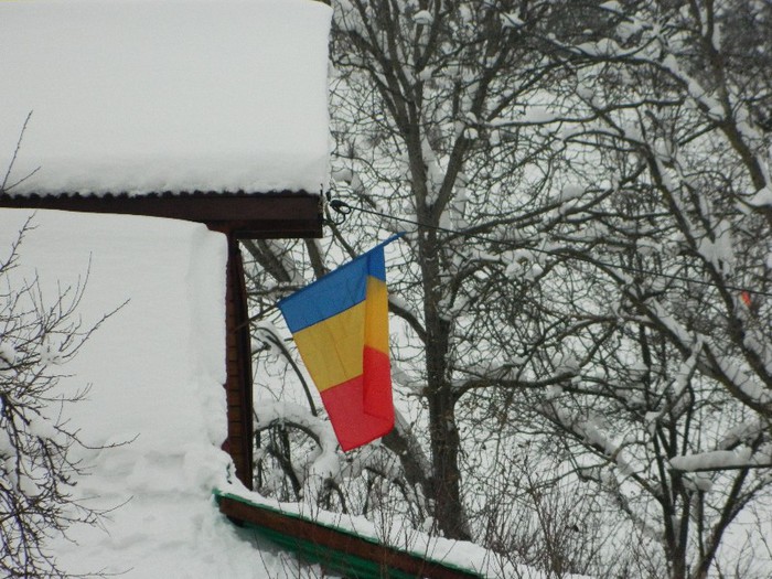 Picture 150 - Diverse-Claudiu