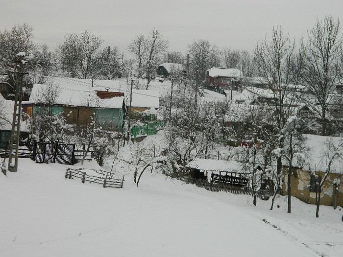 Picture 154 - Diverse-Claudiu