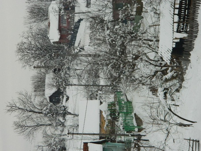 Picture 155 - Diverse-Claudiu