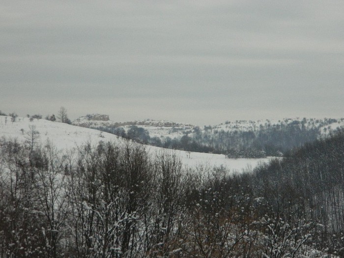 Picture 158 - Diverse-Claudiu