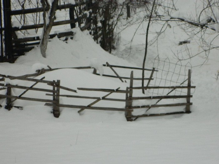 Picture 161 - Diverse-Claudiu