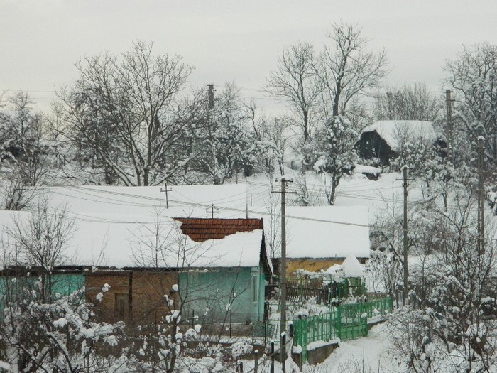 Picture 164 - Diverse-Claudiu