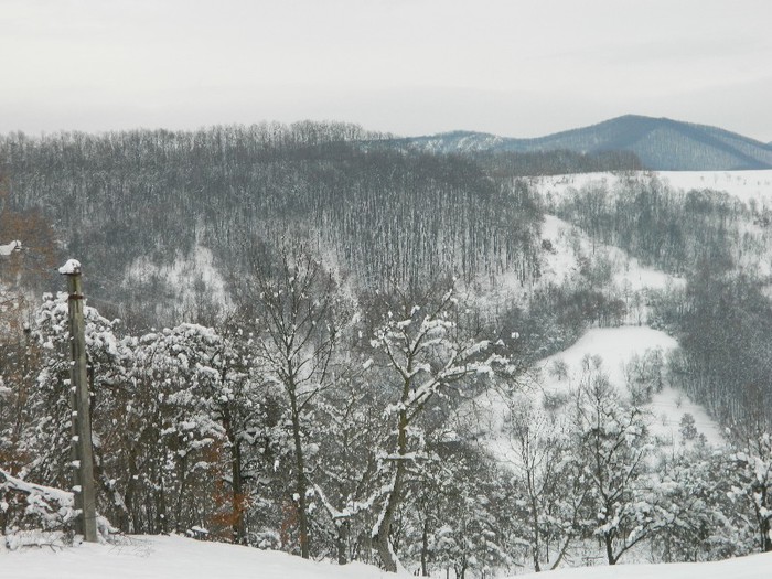 Picture 165 - Diverse-Claudiu