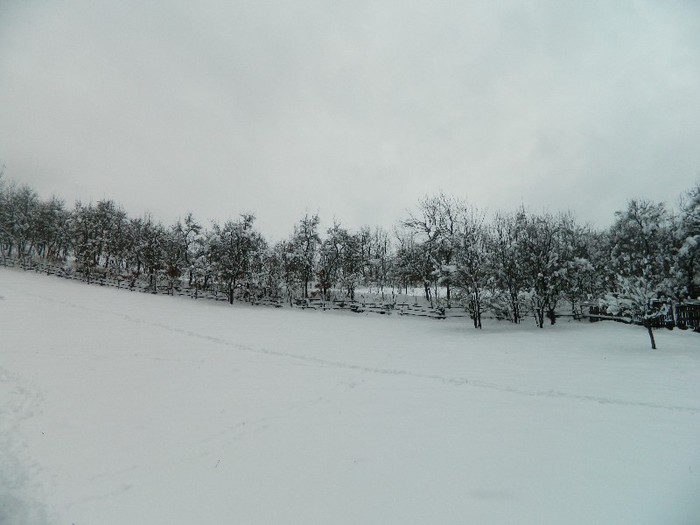 Picture 168 - Diverse-Claudiu