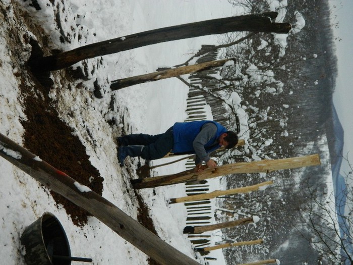 Picture 171 - Diverse-Claudiu