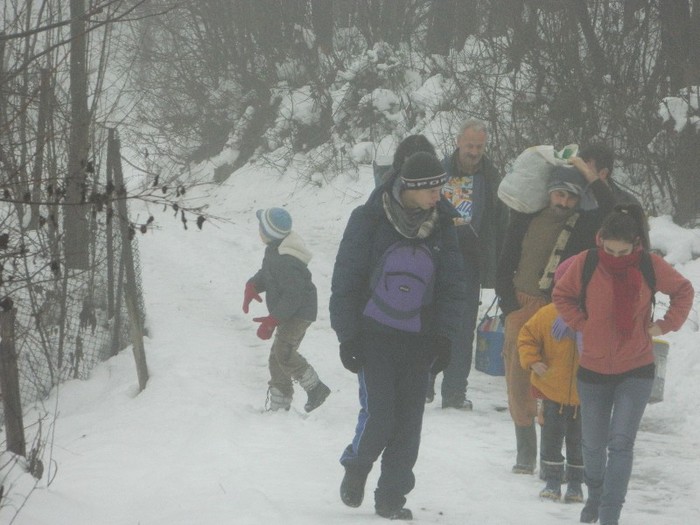 Picture 183 - Diverse-Claudiu