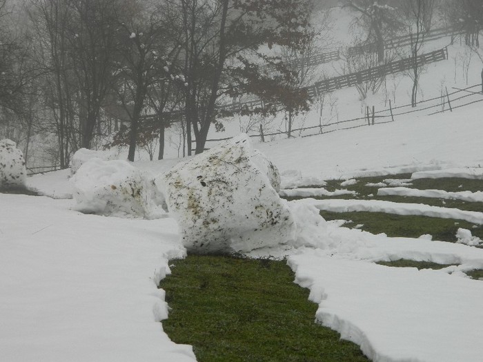 Picture 196 - Diverse-Claudiu