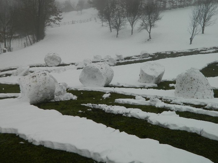 Picture 197 - Diverse-Claudiu