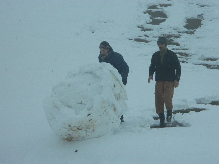 Picture 201 - Diverse-Claudiu