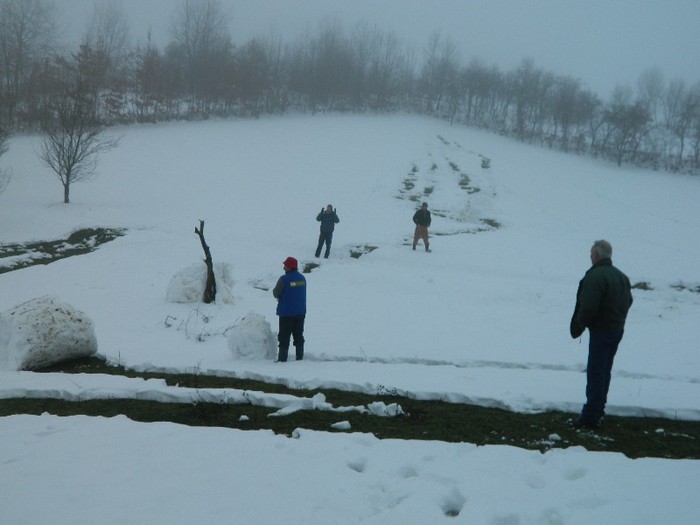 Picture 202 - Diverse-Claudiu