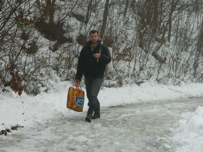 Picture 213 - Diverse-Claudiu