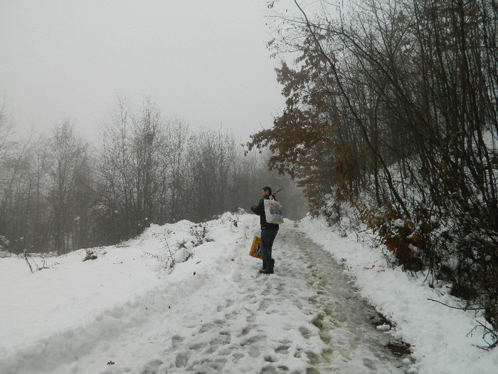 Picture 214 - Diverse-Claudiu