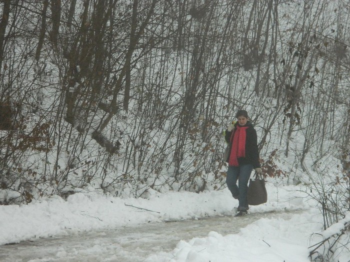 Picture 216 - Diverse-Claudiu