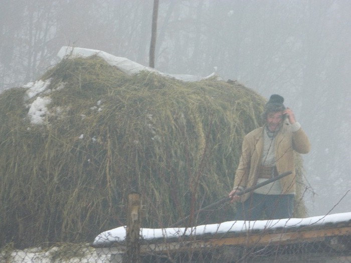 Picture 225 - Diverse-Claudiu