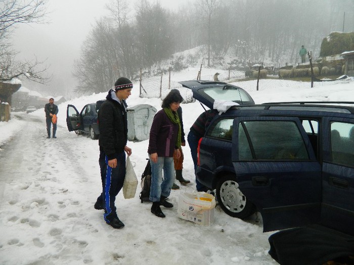 Picture 227 - Diverse-Claudiu