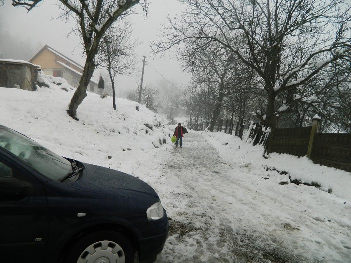 Picture 228 - Diverse-Claudiu