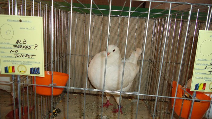 DSC02368