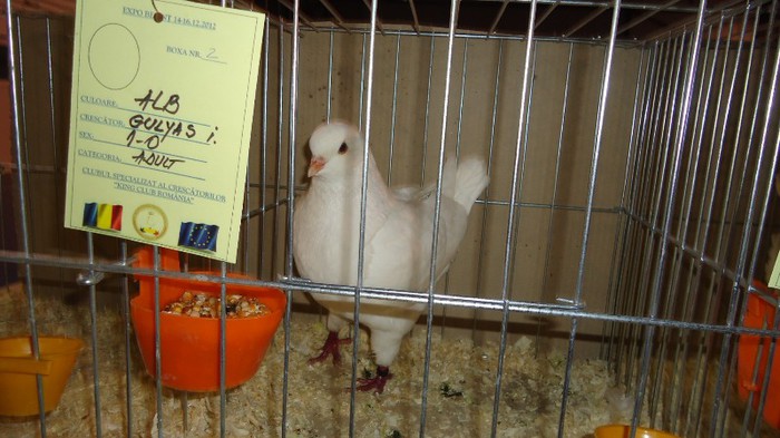 DSC02369