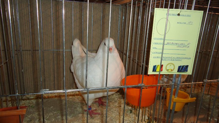 DSC02373