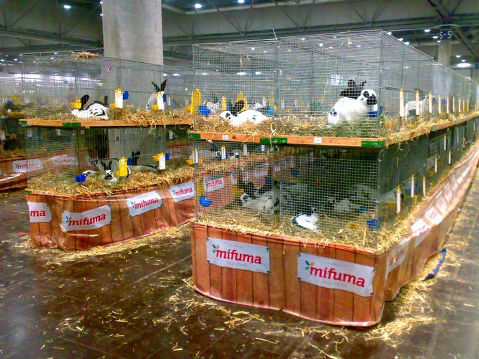 EXPO LEIPZIG 2012