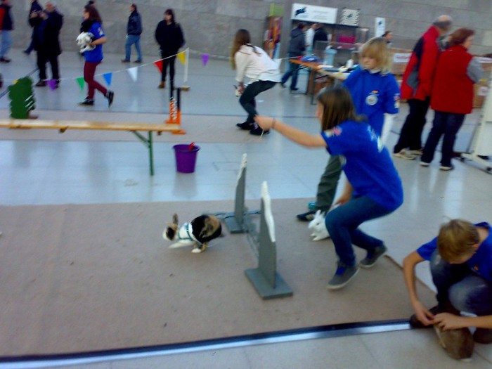 Pista cu obstacole - hopa -hop - i - Impresii Expo Leipzig 2012