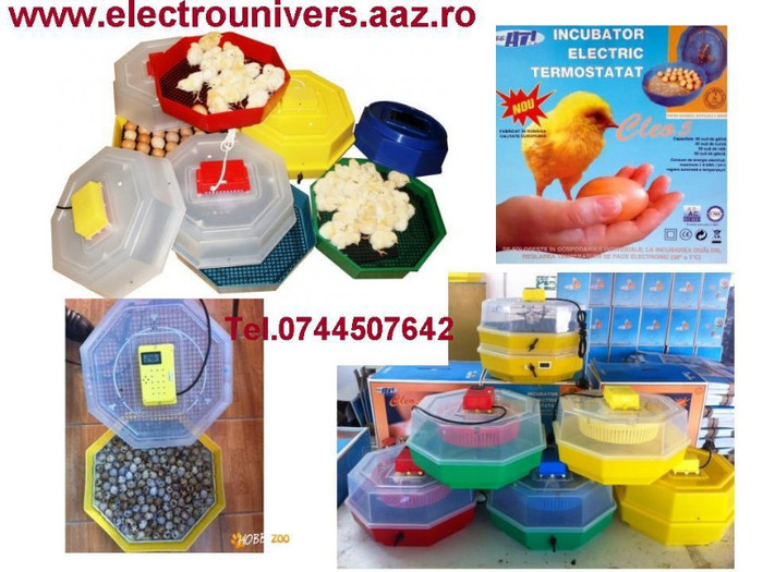 electrounivers.com - incubatoare oua; incubatoare oua Cleo www.electrounivers.com
