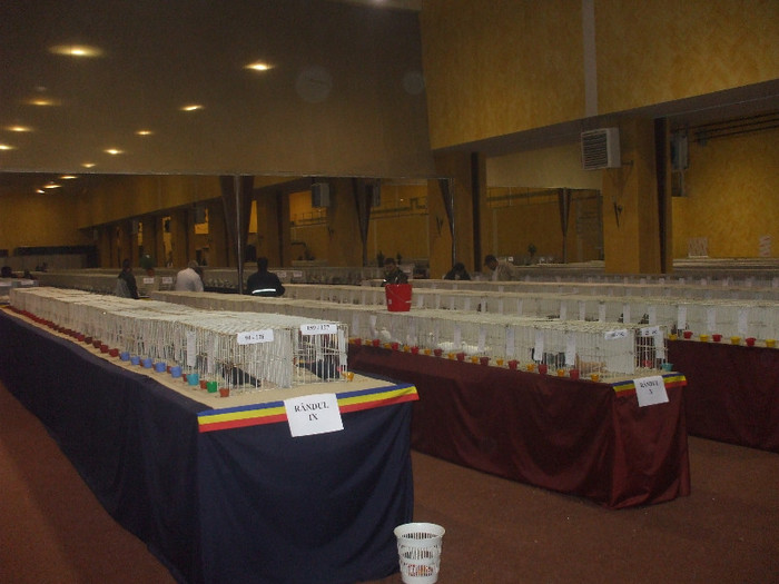 DSCF2024 - RANDUNELE EXPO TIRGU MURES 2012