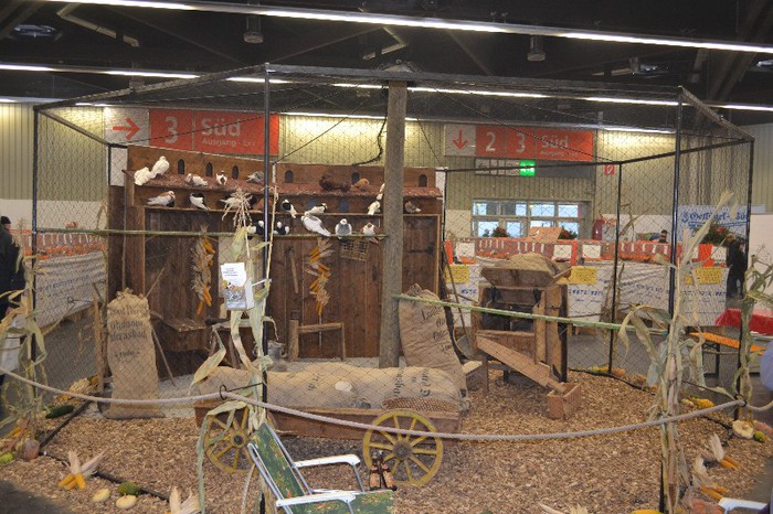DSC_0066 - Expo Nurnberg 2012