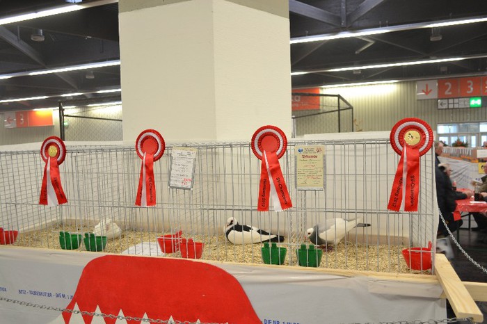 DSC_0179 - Expo Nurnberg 2012