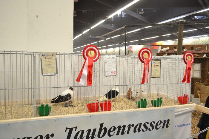 DSC_0180 - Expo Nurnberg 2012