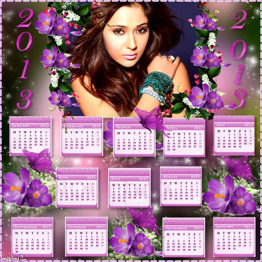 INDIAFAN - Cine vrea calendar 2013