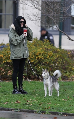 normal_121812walkfloydphilly004 - Walking her dog Floyd in Philadelphia Pennsylvania