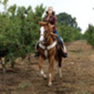 maite-perroni-939209l-thumbnail_gallery