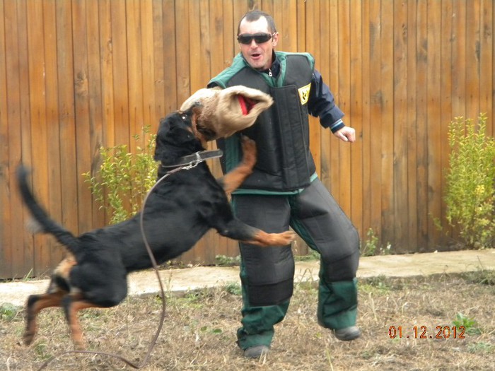 Picture 319; atac la manson )))
