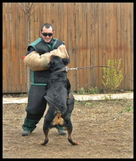 Picture 328; rottweiler la manson
